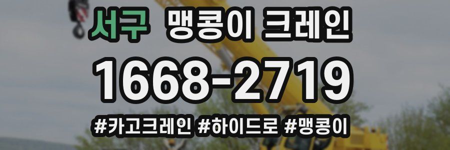서구 맹콩이 크레인