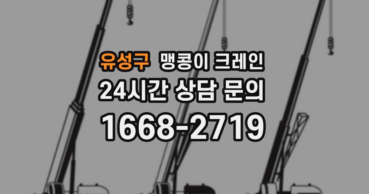 유성구 맹콩이 크레인