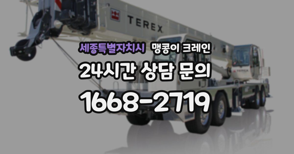 세종특별자치시 맹콩이 크레인