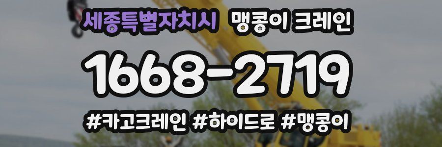 세종특별자치시 맹콩이 크레인