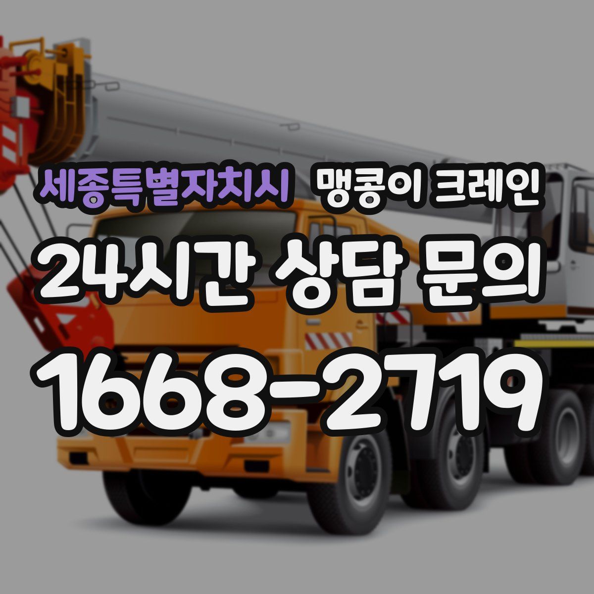 세종특별자치시 맹콩이 크레인