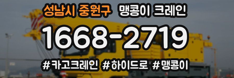 성남시 중원구 맹콩이 크레인