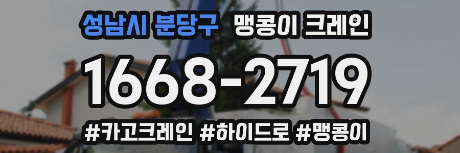 성남시 분당구 맹콩이 크레인