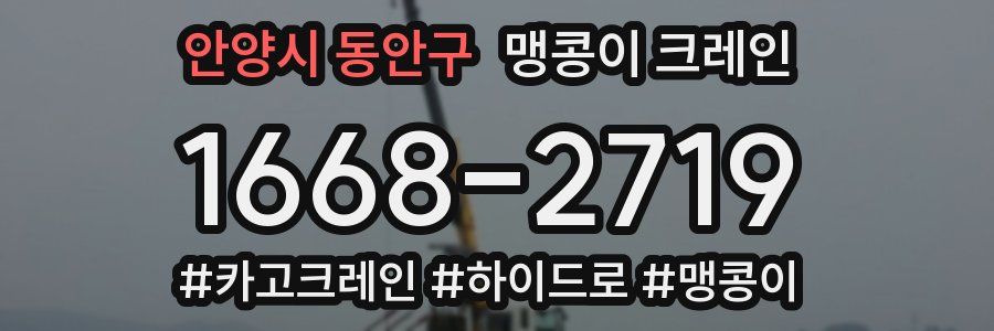 안양시 동안구 맹콩이 크레인