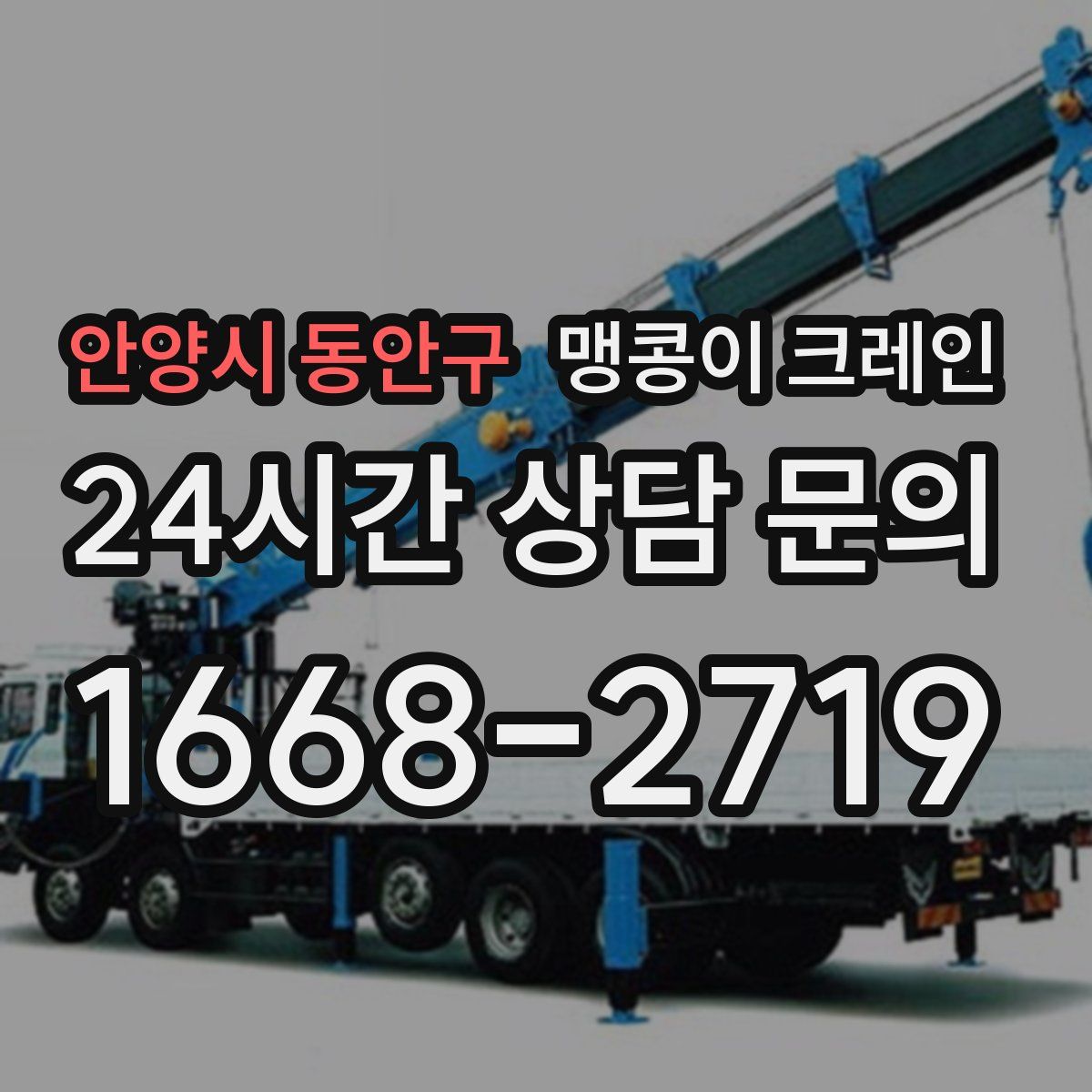 안양시 동안구 맹콩이 크레인