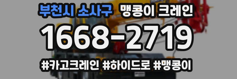 부천시 소사구 맹콩이 크레인