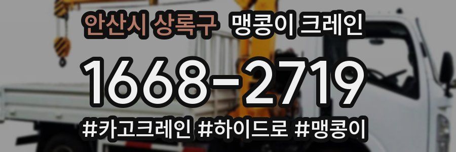안산시 상록구 맹콩이 크레인