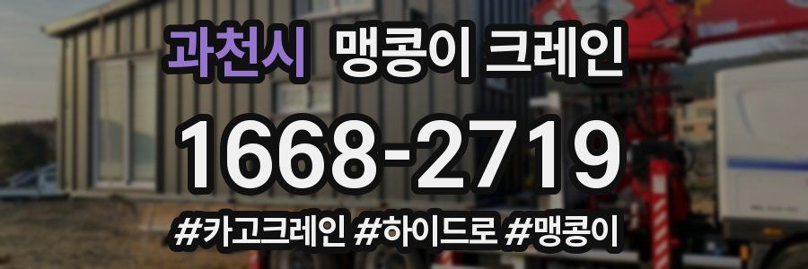 과천시 맹콩이 크레인