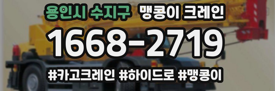 용인시 수지구 맹콩이 크레인