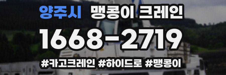 양주시 맹콩이 크레인