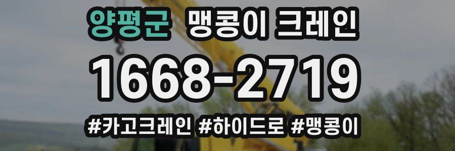 양평군 맹콩이 크레인