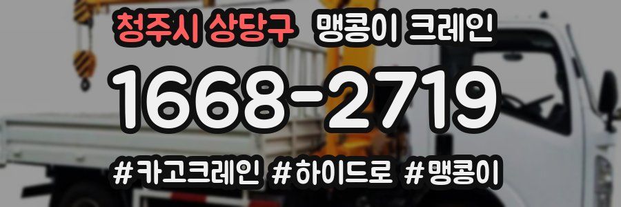 청주시 상당구 맹콩이 크레인