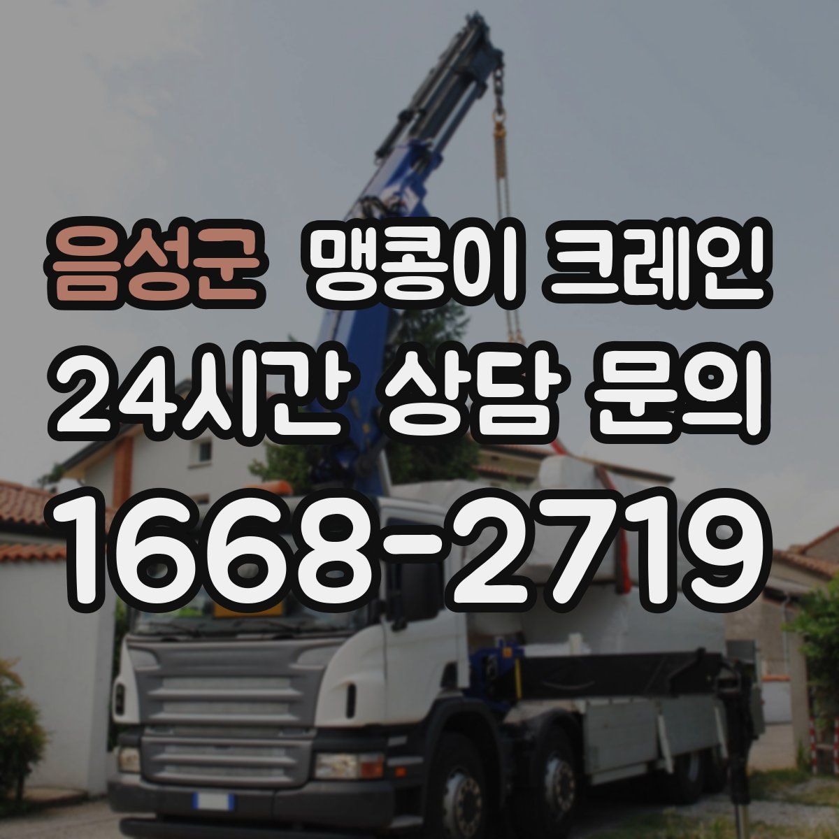 음성군 맹콩이 크레인