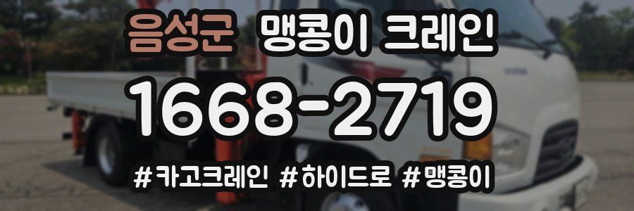 음성군 맹콩이 크레인