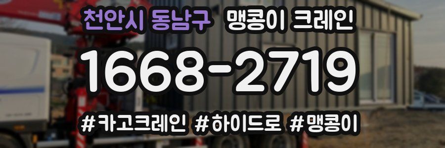 천안시 동남구 맹콩이 크레인