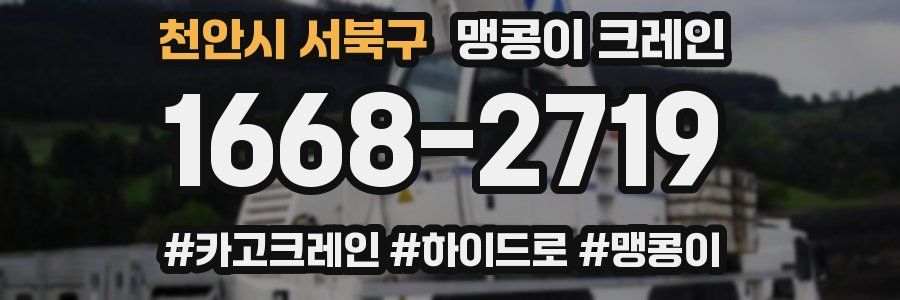 천안시 서북구 맹콩이 크레인