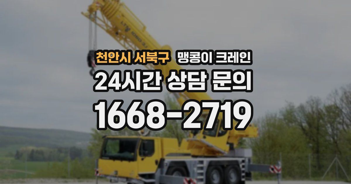 천안시 서북구 맹콩이 크레인