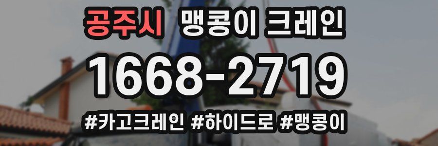 공주시 맹콩이 크레인