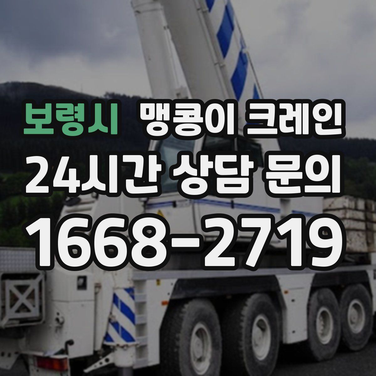 보령시 맹콩이 크레인