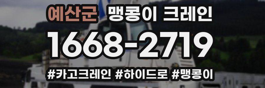 예산군 맹콩이 크레인