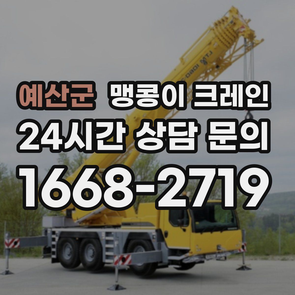 예산군 맹콩이 크레인