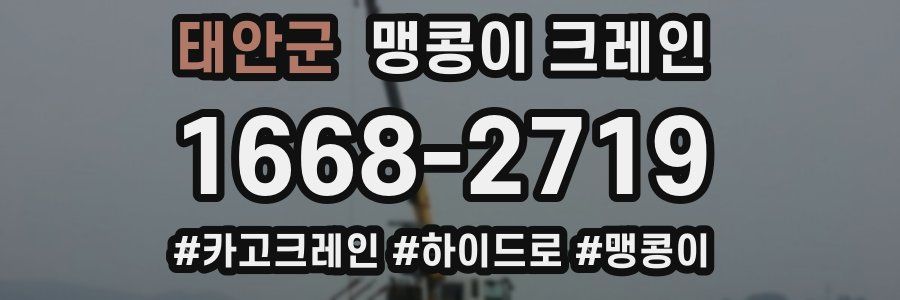 태안군 맹콩이 크레인