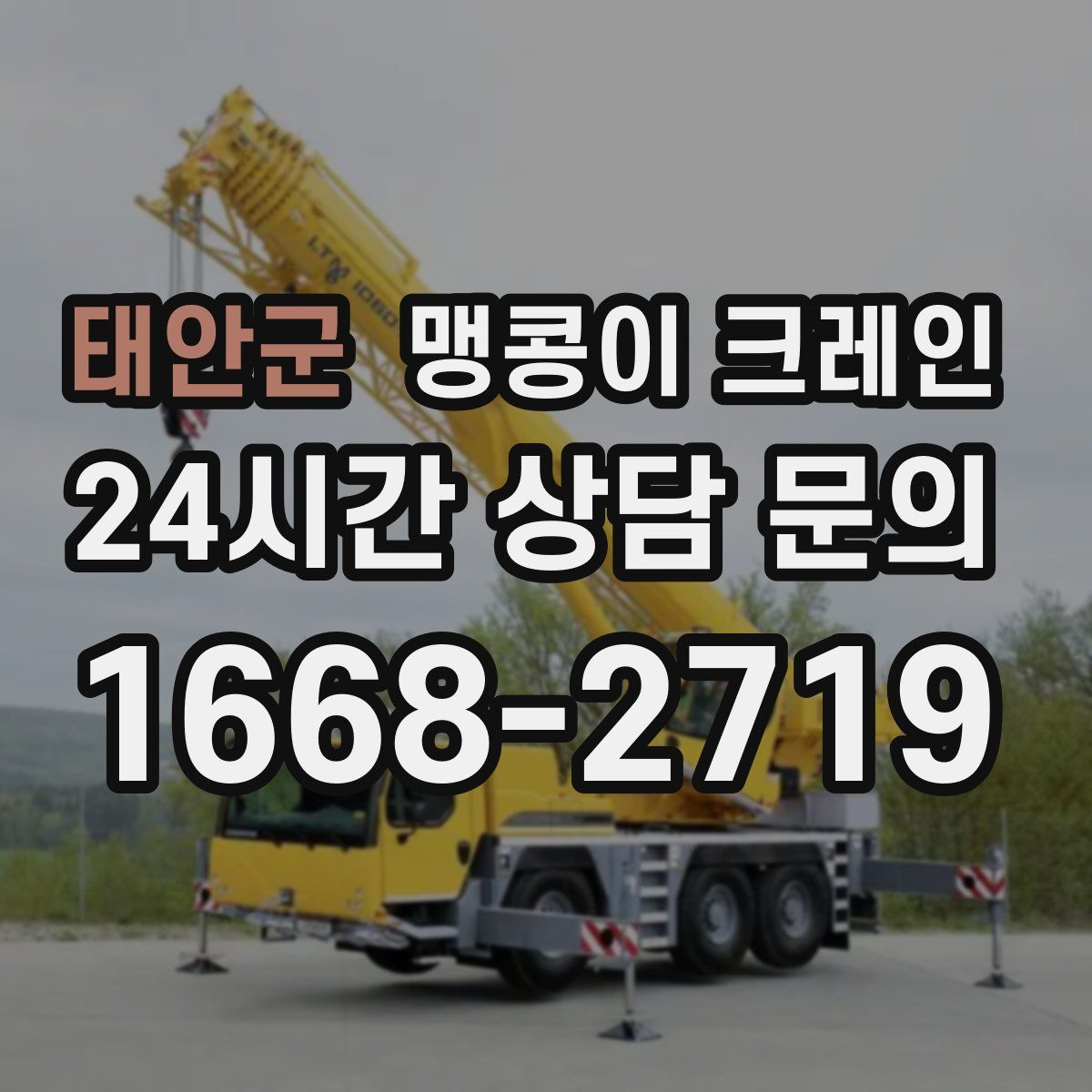 태안군 맹콩이 크레인