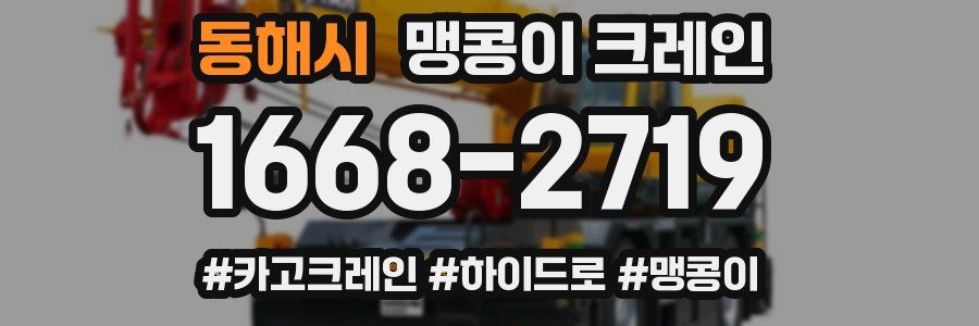 동해시 맹콩이 크레인