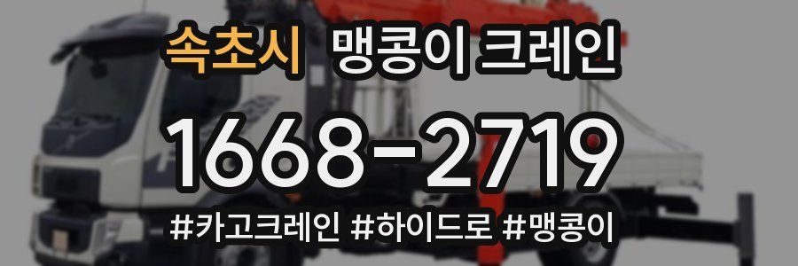 속초시 맹콩이 크레인