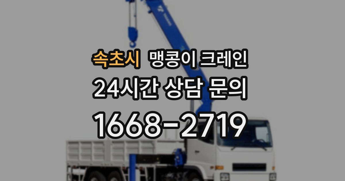 속초시 맹콩이 크레인