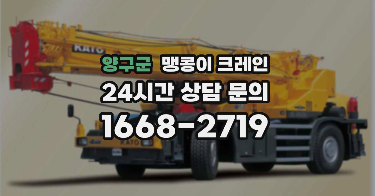 양구군 맹콩이 크레인