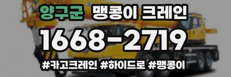 양구군 맹콩이 크레인