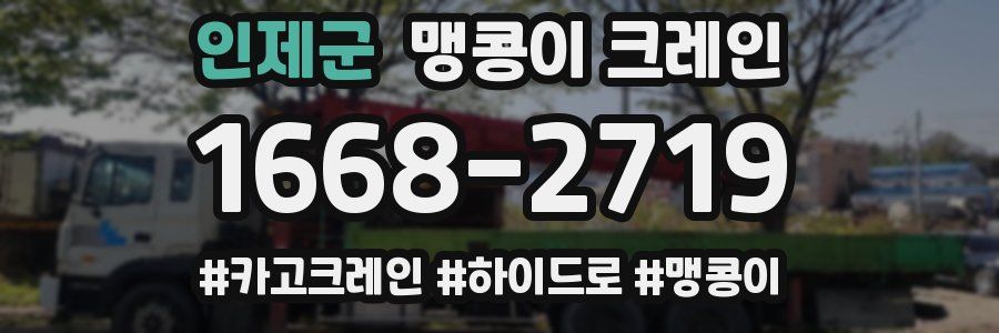 인제군 맹콩이 크레인