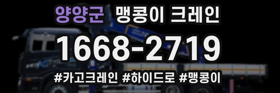 양양군 맹콩이 크레인