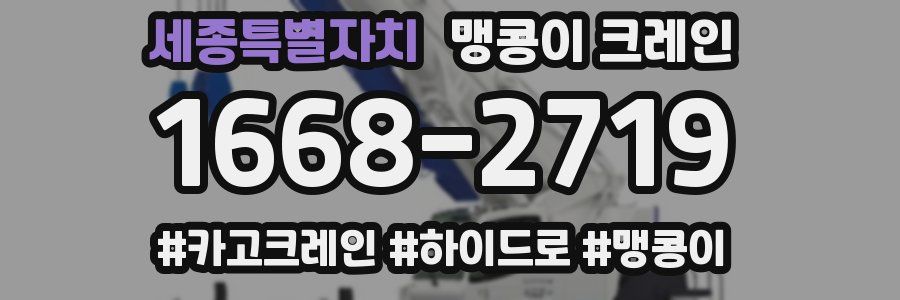 세종특별자치 맹콩이 크레인