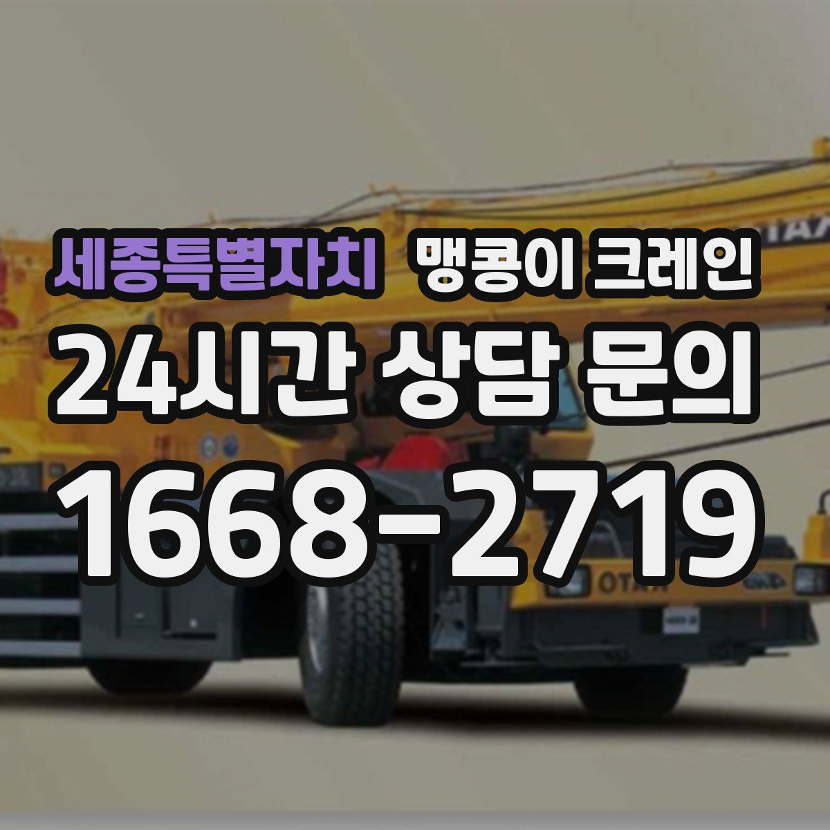 세종특별자치 맹콩이 크레인