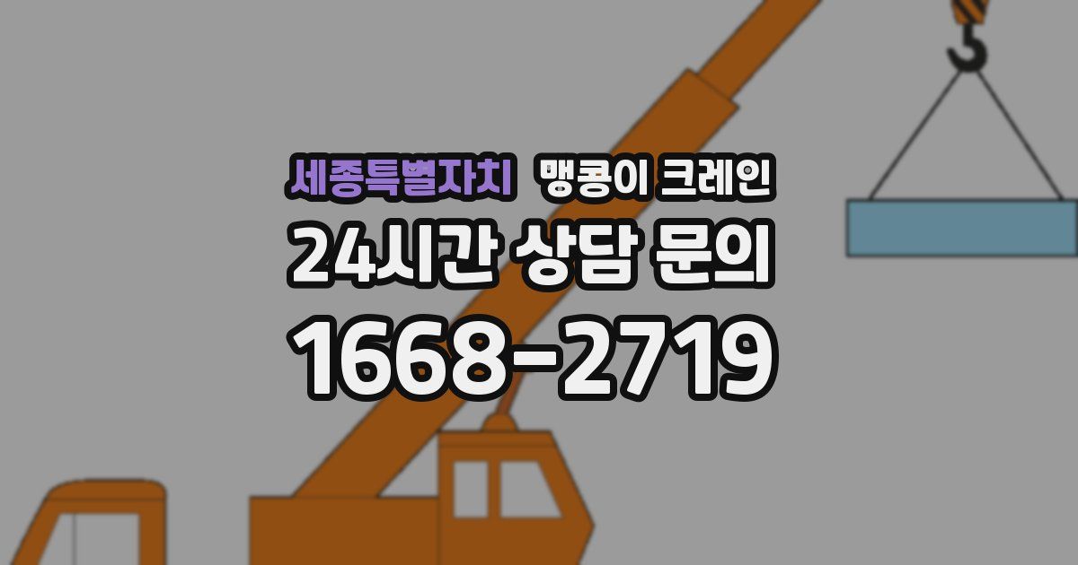 세종특별자치 맹콩이 크레인