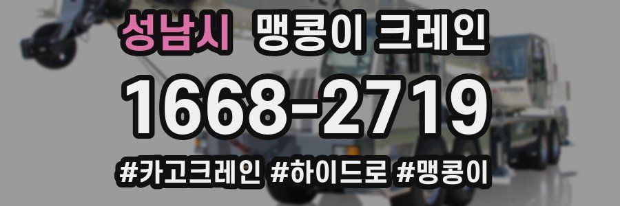 성남시 맹콩이 크레인