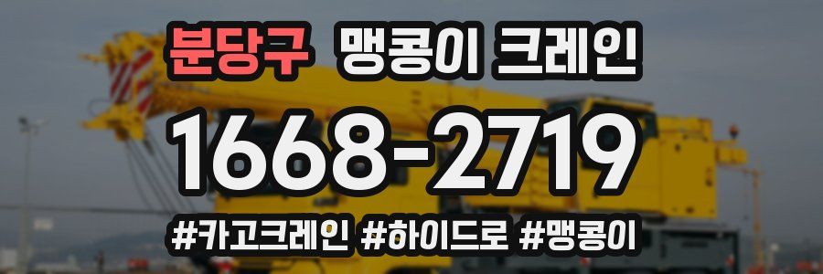 분당구 맹콩이 크레인