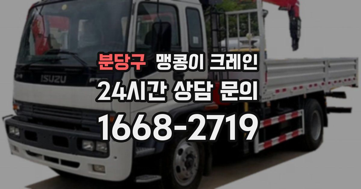 분당구 맹콩이 크레인