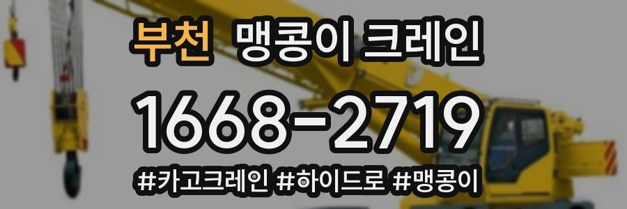 부천 맹콩이 크레인