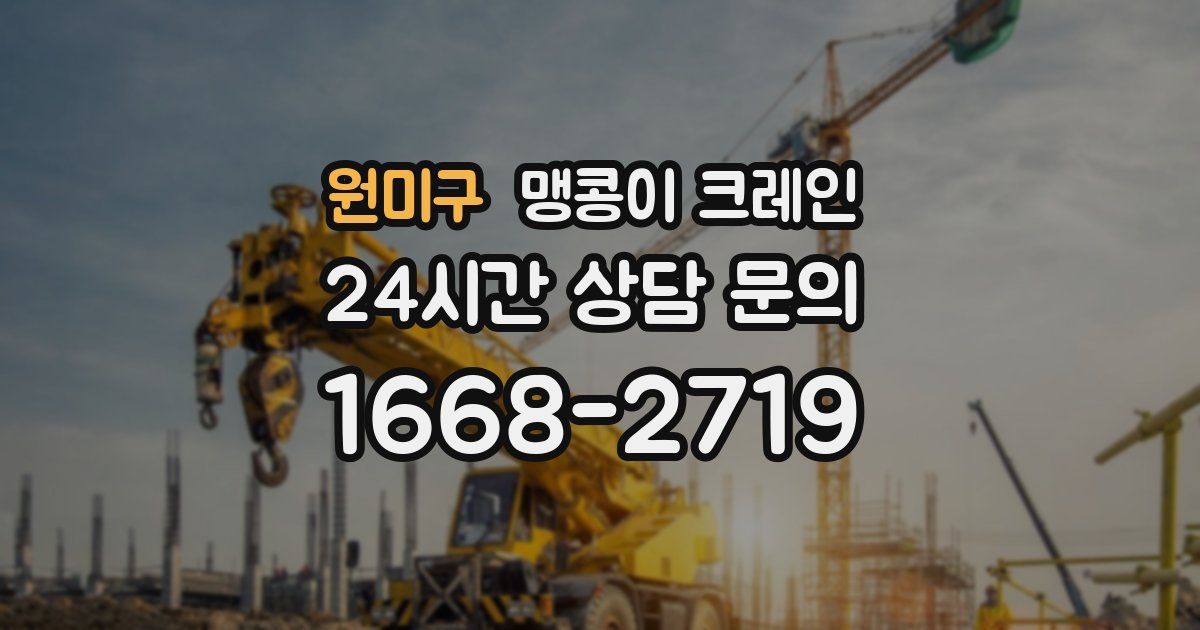 원미구 맹콩이 크레인