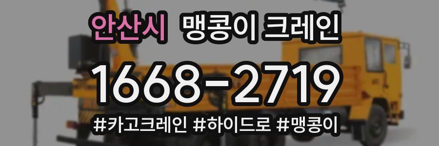 안산시 맹콩이 크레인
