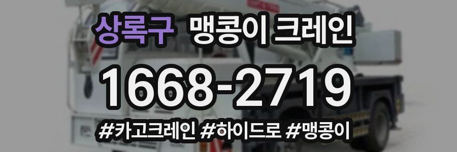 상록구 맹콩이 크레인