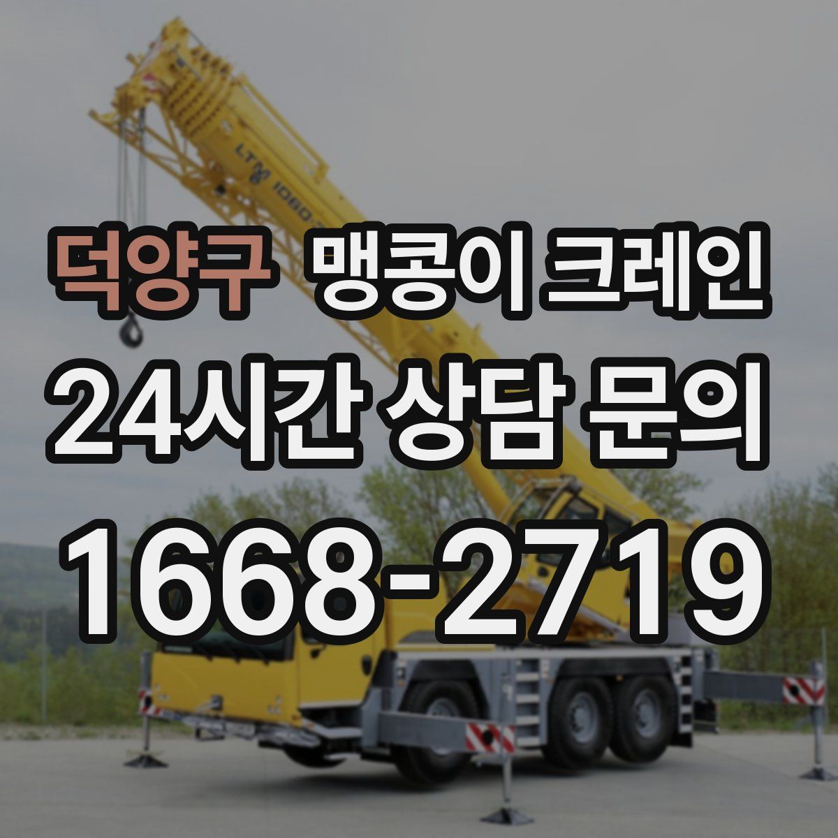 덕양구 맹콩이 크레인