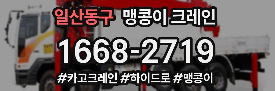 일산동구 맹콩이 크레인