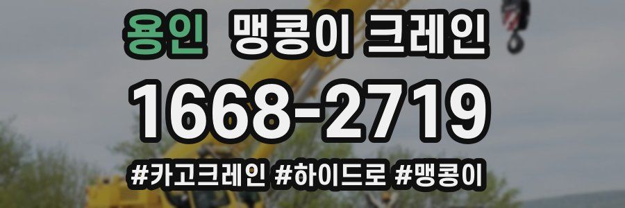 용인 맹콩이 크레인