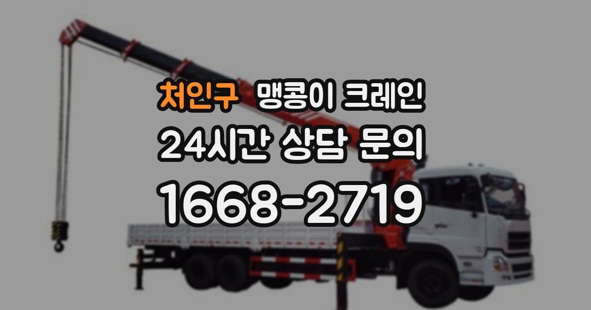 처인구 맹콩이 크레인