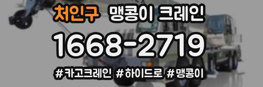 처인구 맹콩이 크레인