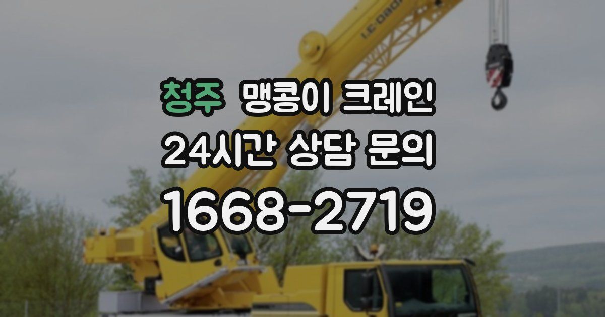 청주 맹콩이 크레인
